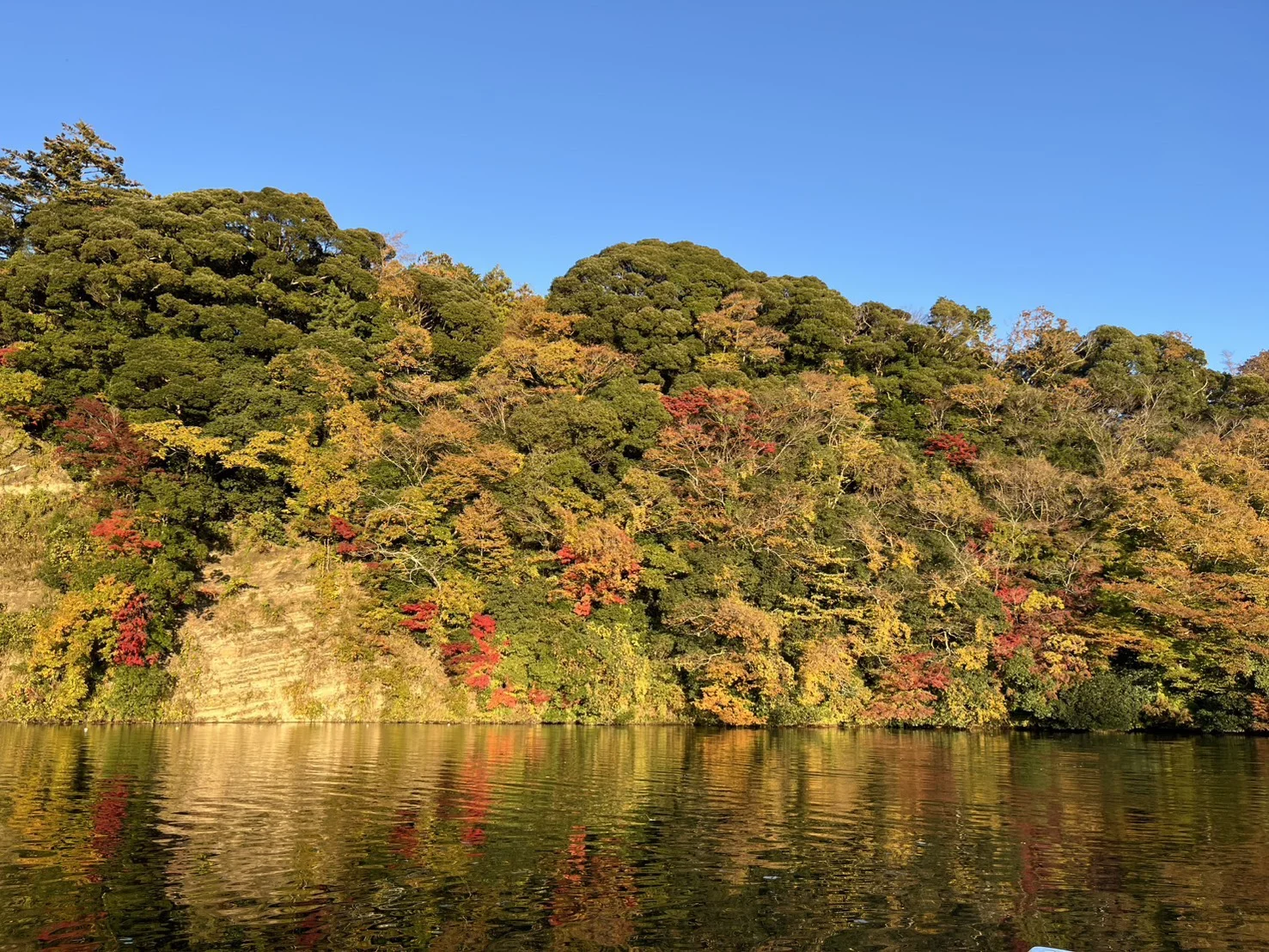 亀山湖 紅葉船クルーズ