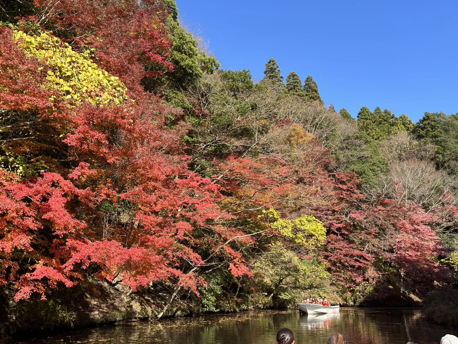 亀山湖 紅葉船クルーズ