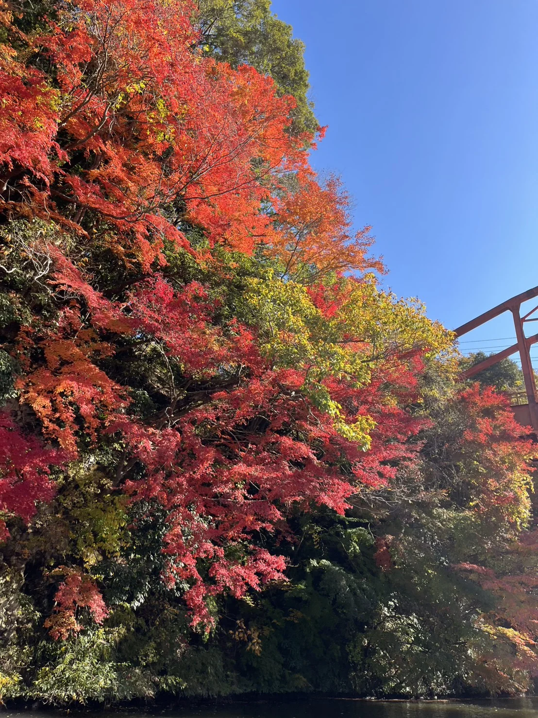 亀山湖 紅葉船クルーズ