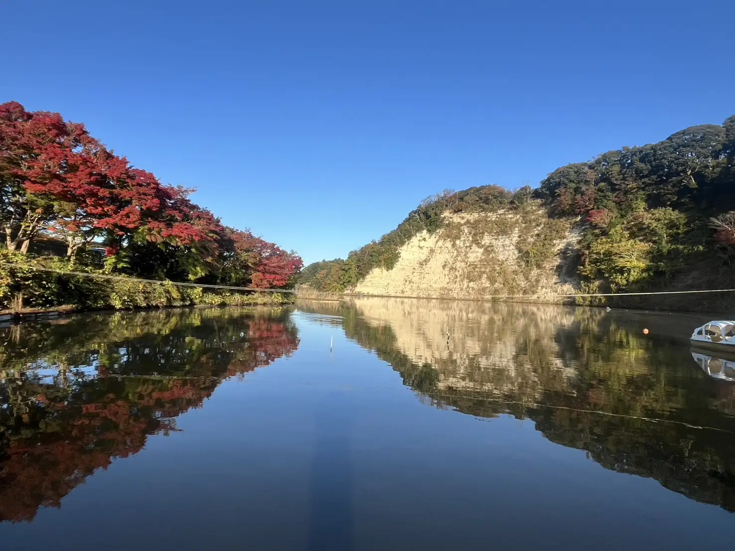 紅葉スポット