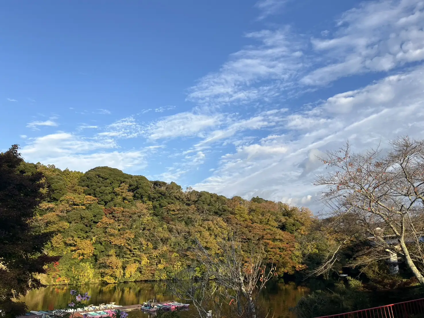 紅葉クルーズ