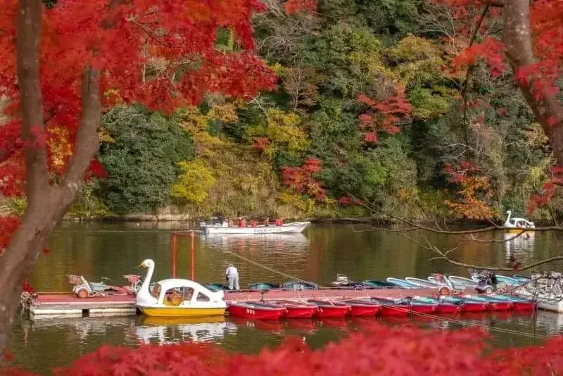 紅葉の湖畔