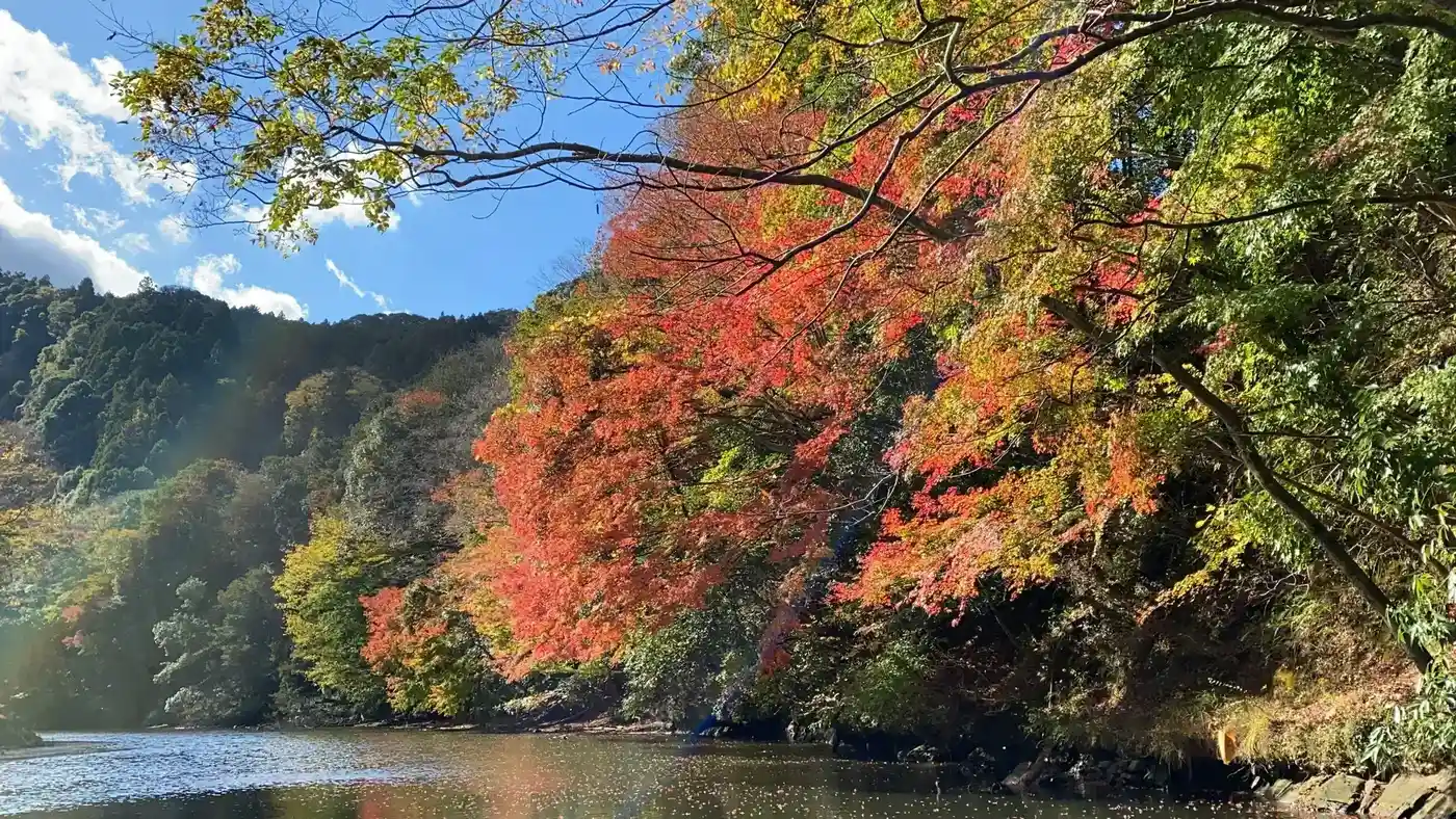 紅葉船