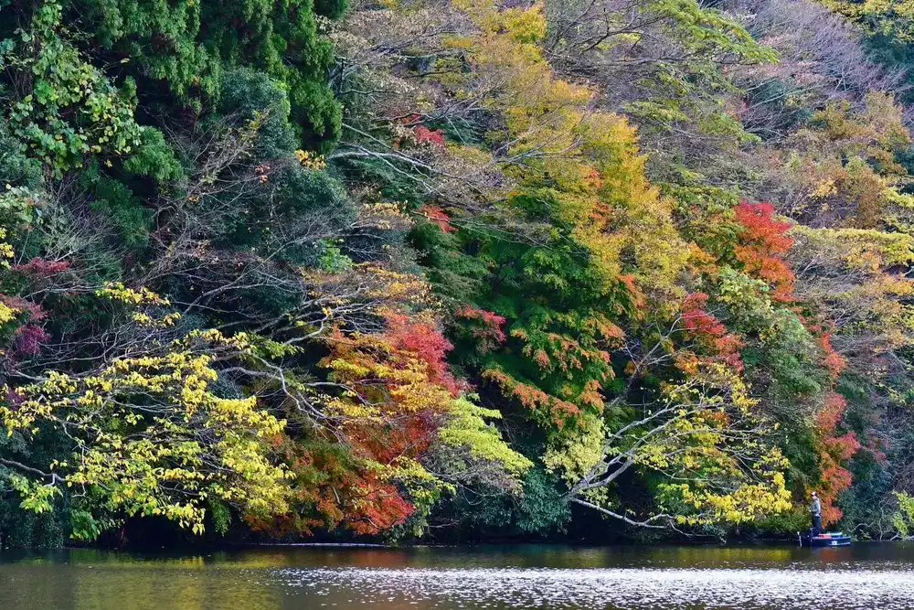 秋の亀山湖