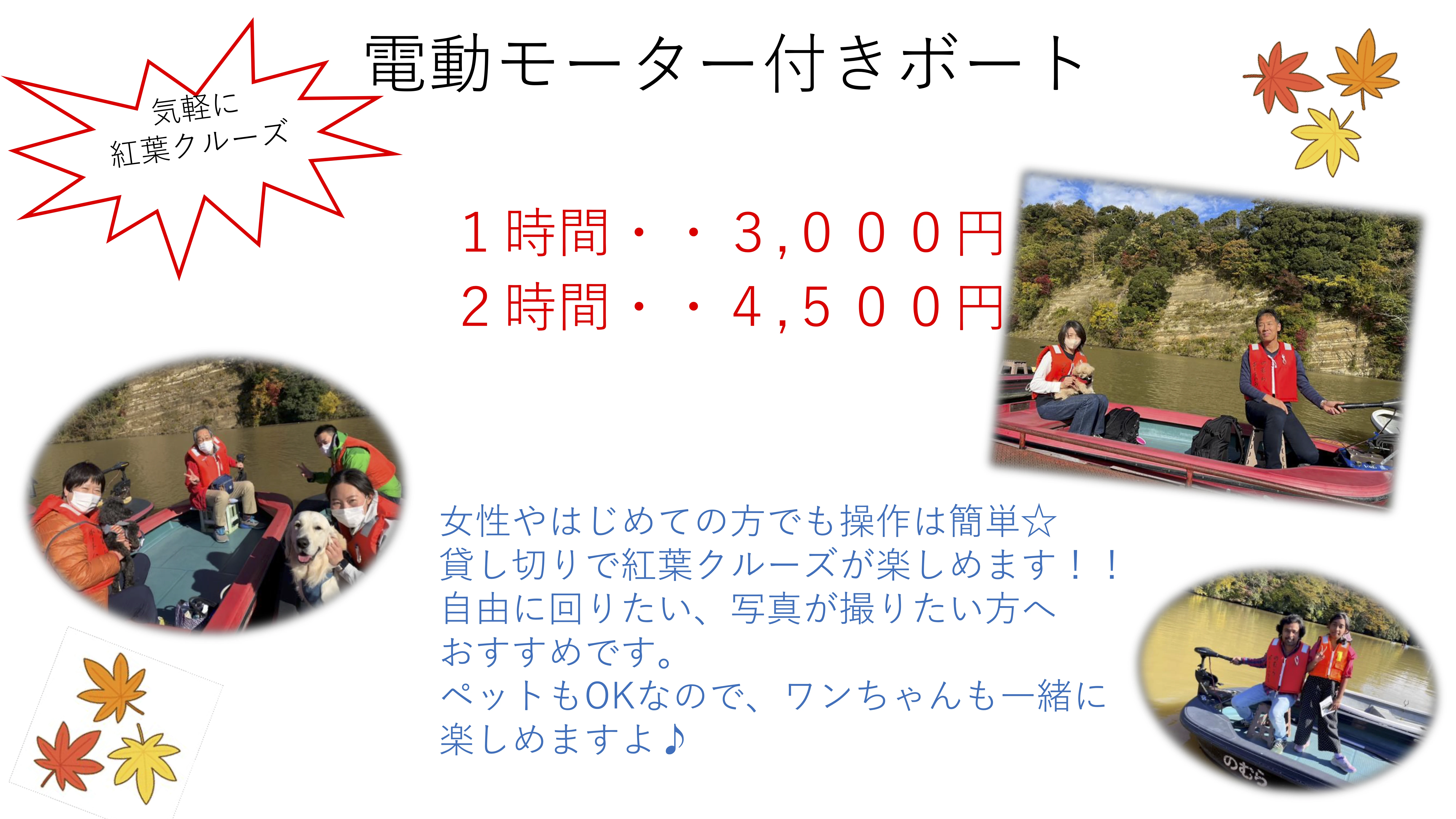 電動モーターボートチラシ